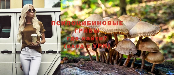 прущая мука Арсеньев