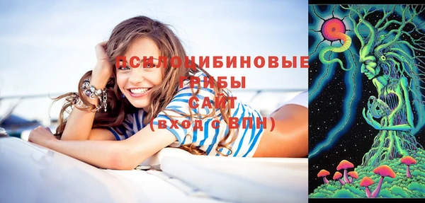 прущая мука Арсеньев