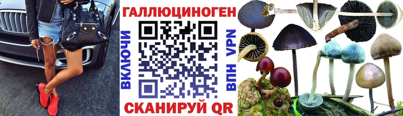 где продают наркотики  Суворов  Псилоцибиновые грибы мицелий 