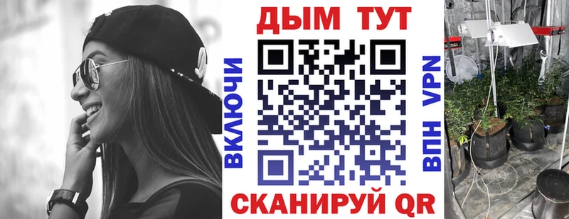 Конопля план  blacksprut   Суворов 